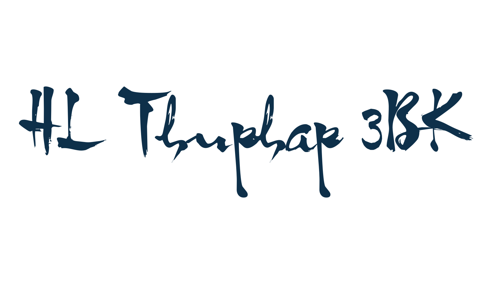 HL Thuphap 3BK, fancy various decorative script calligraphy font preview