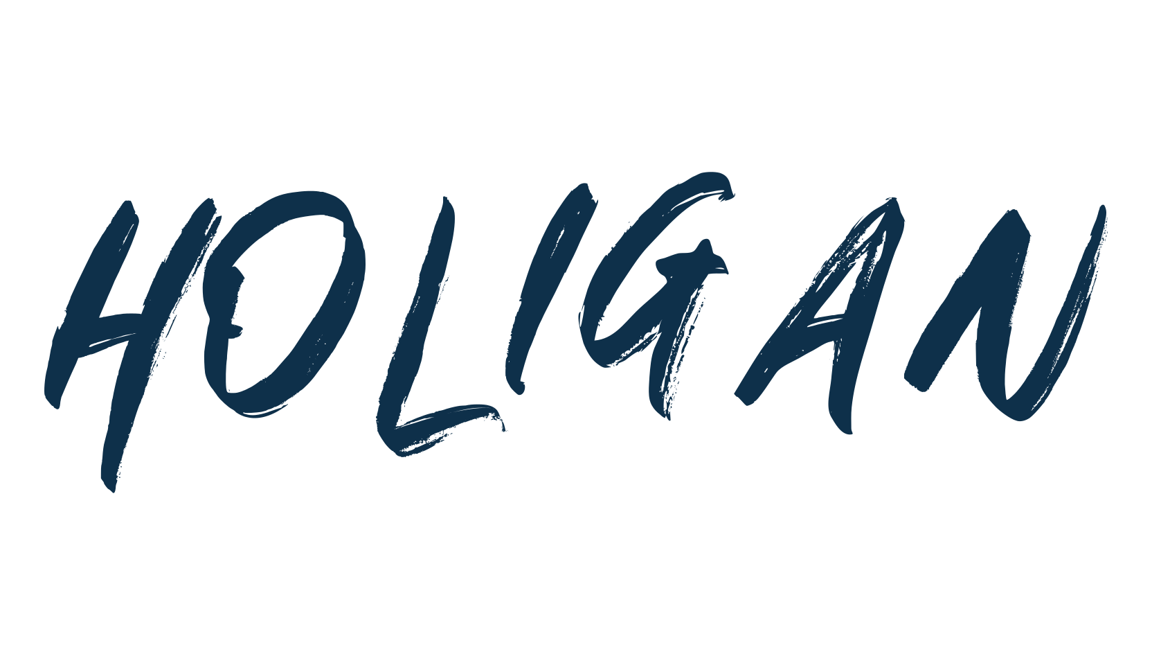 Holigan (holigan-2), script brush fancy decorative calligraphy font preview