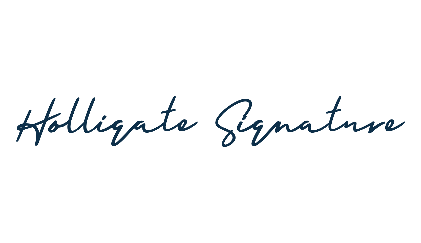 Holligate Signature, script handwritten fancy decorative calligraphy font preview
