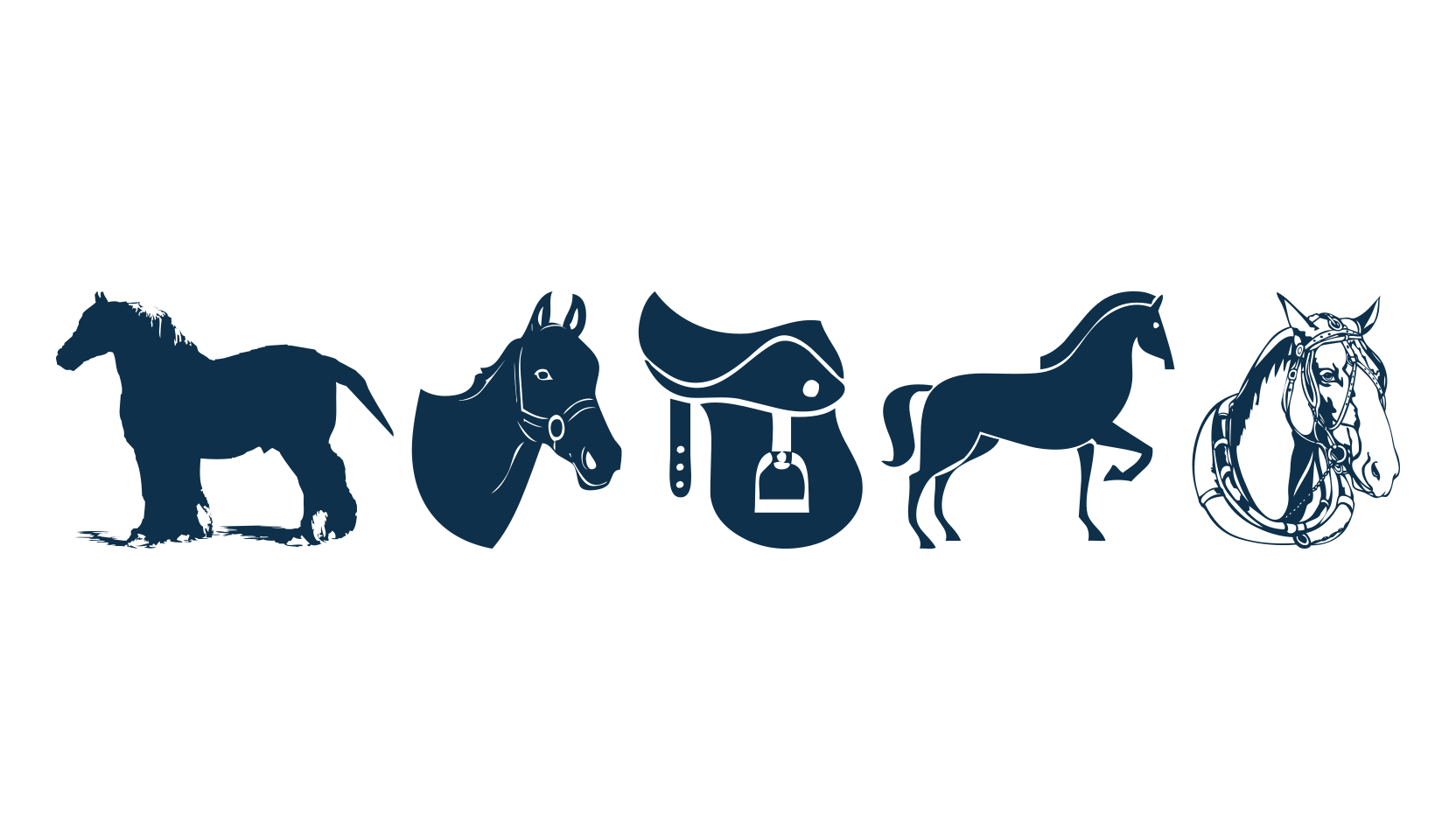 Horse (horse), display market font preview