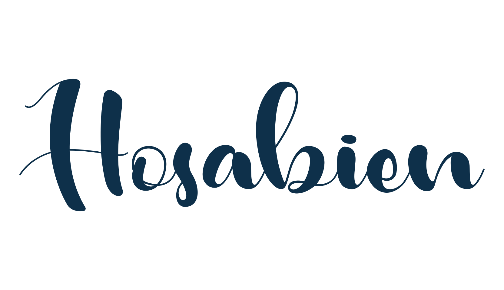 Hosabien, script brush fancy decorative calligraphy font preview