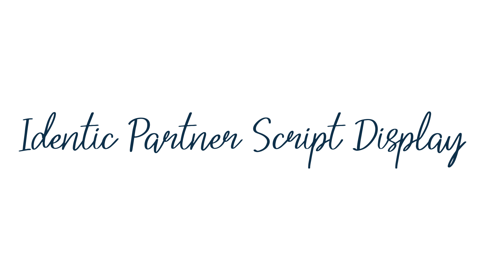 Identic Partner Script Display, script handwritten fancy decorative calligraphy font preview