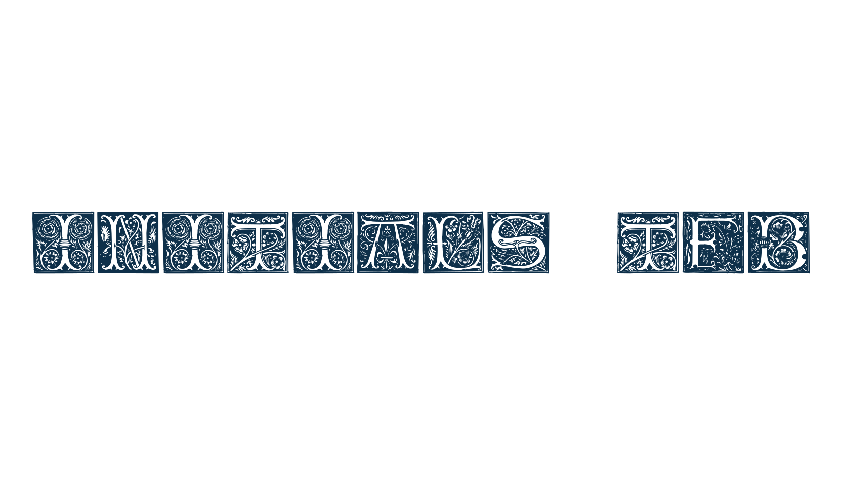 Initials TFB, initials font preview