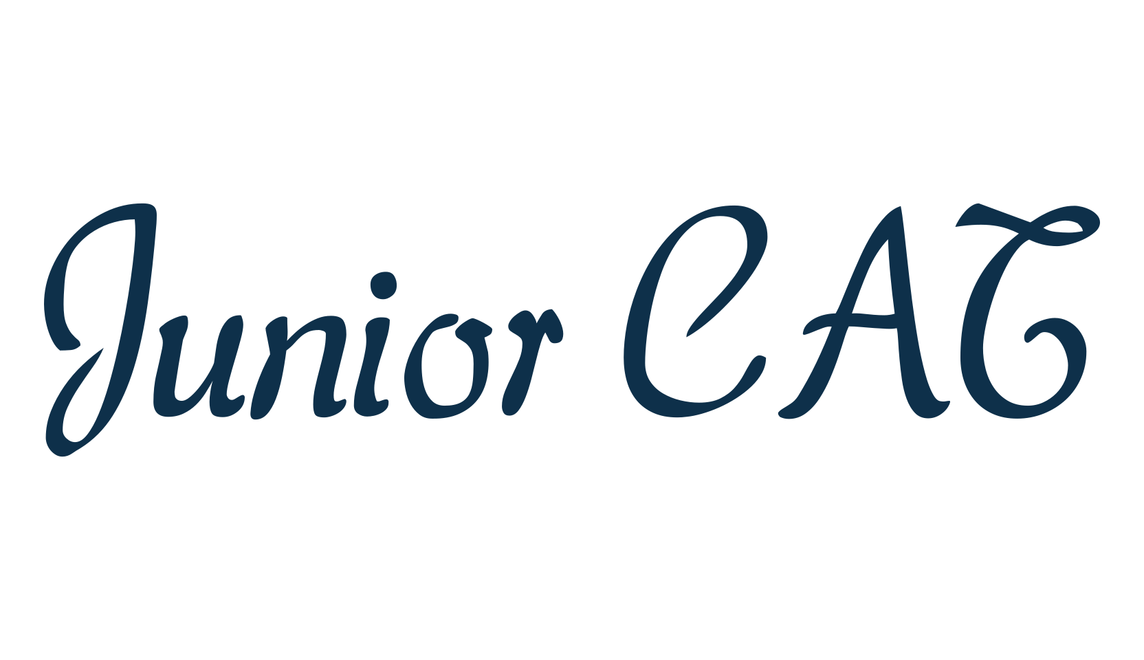 Junior CAT, various font preview