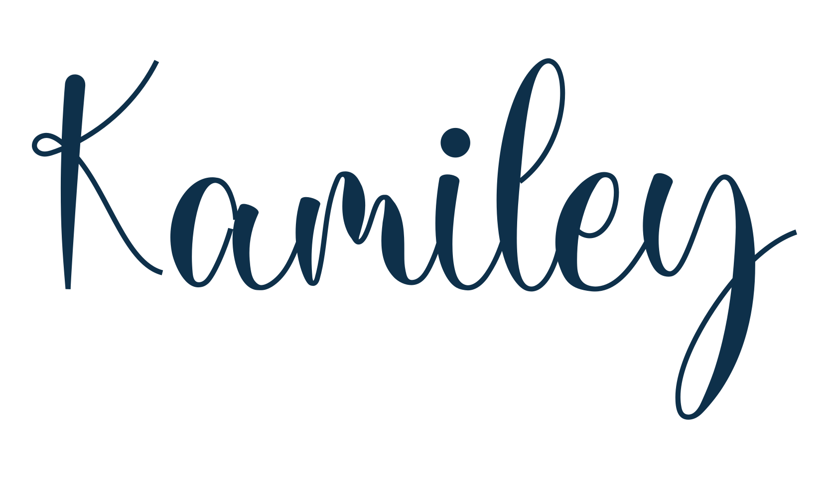 Kamiley, script calligraphy fancy decorative font preview