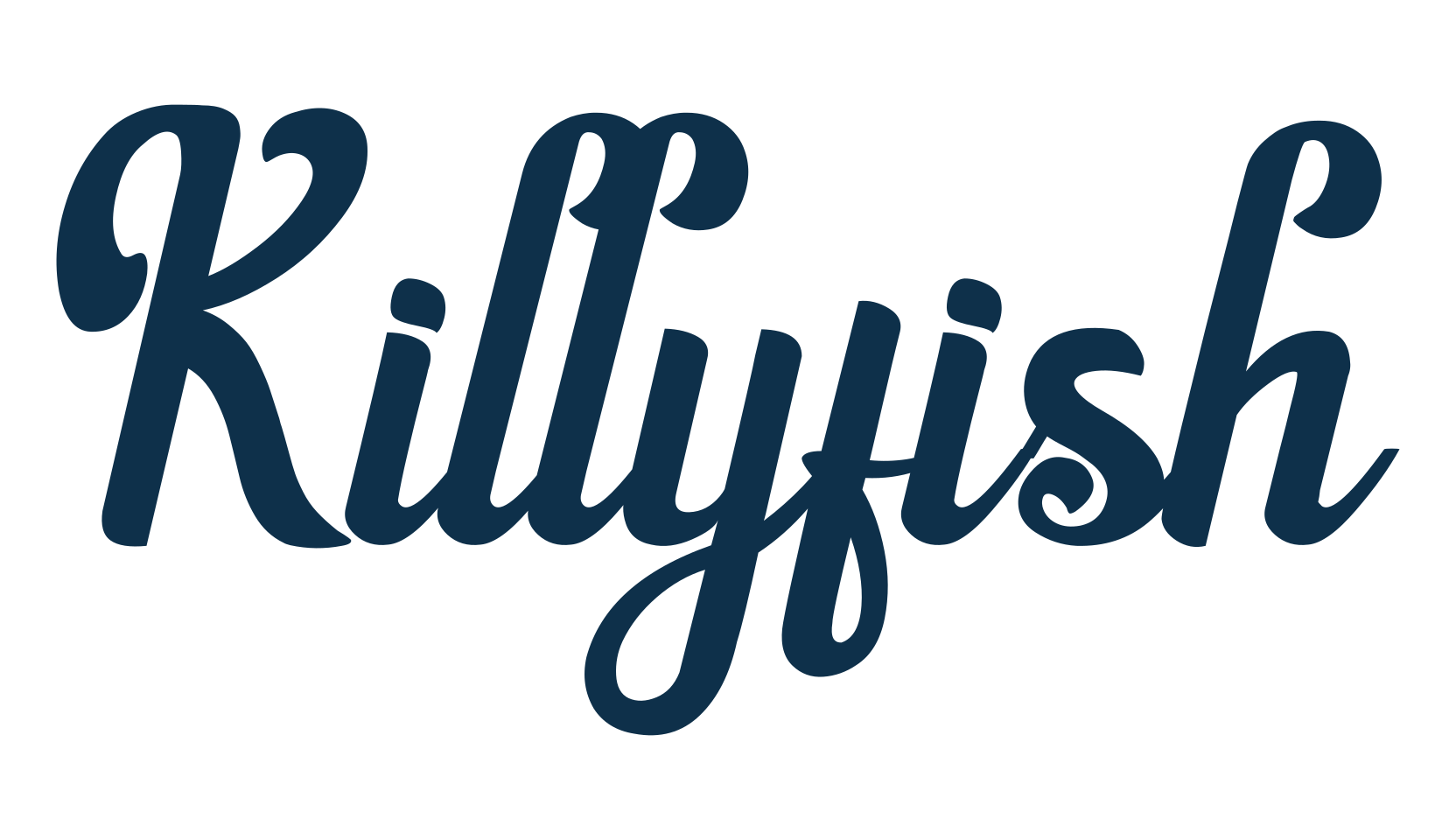 Killyfish, fancy decorative font preview