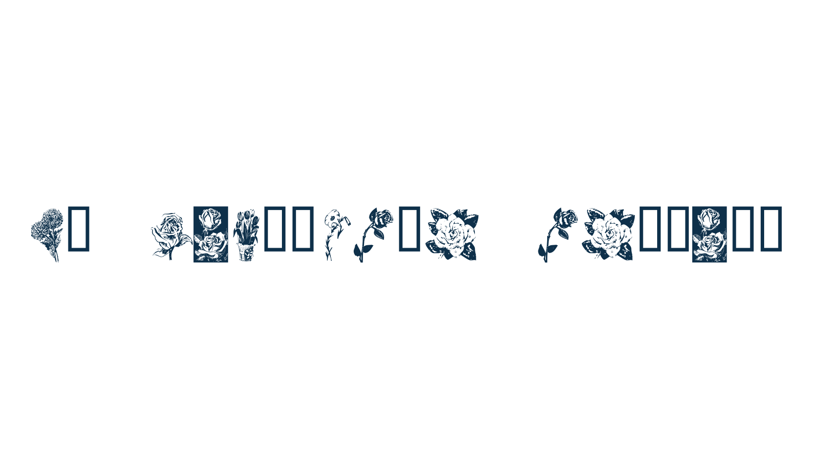 KR Beautiful Flowers, fancy decorative font preview