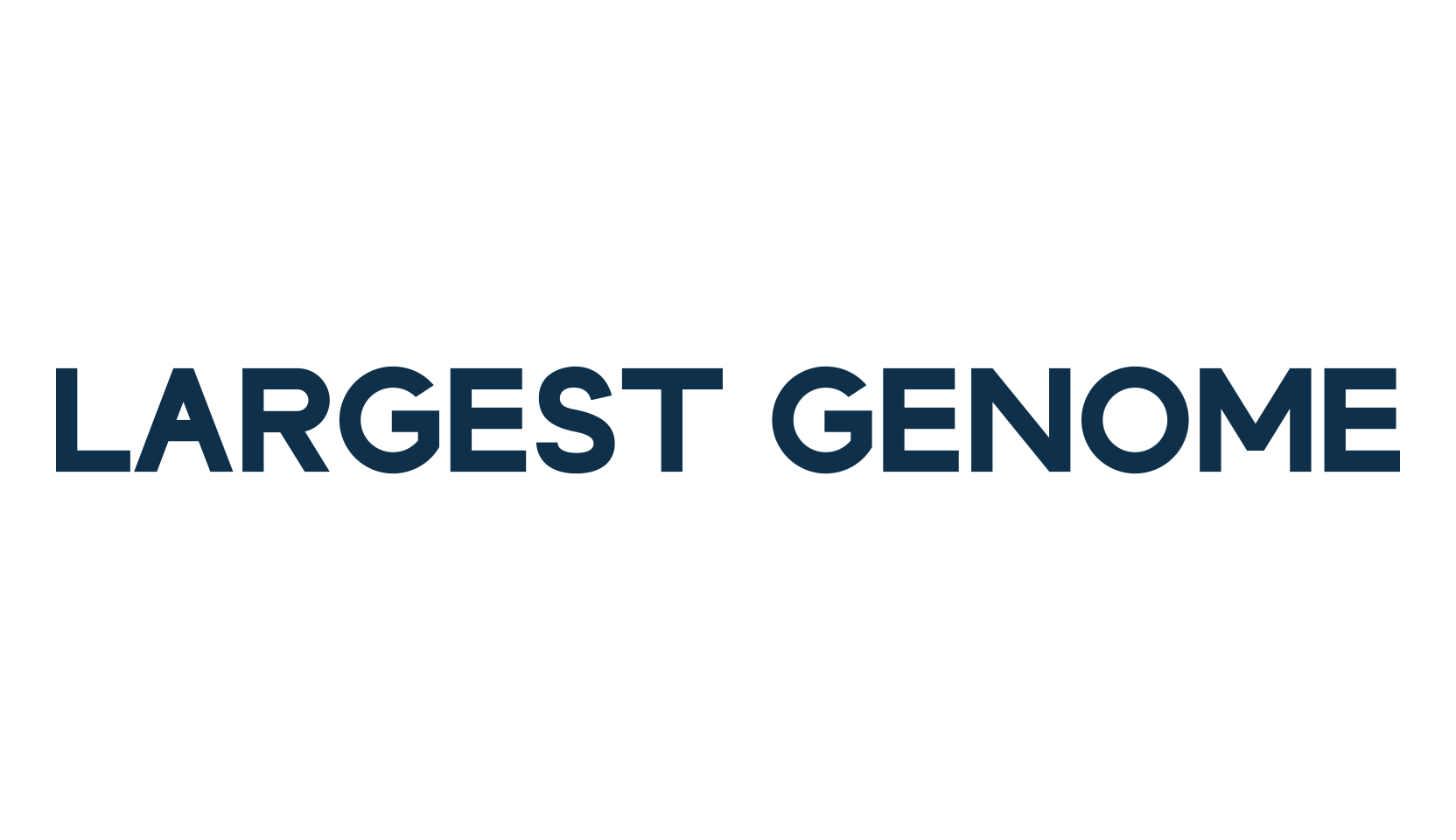 Largest Genome, basic sans serif font preview