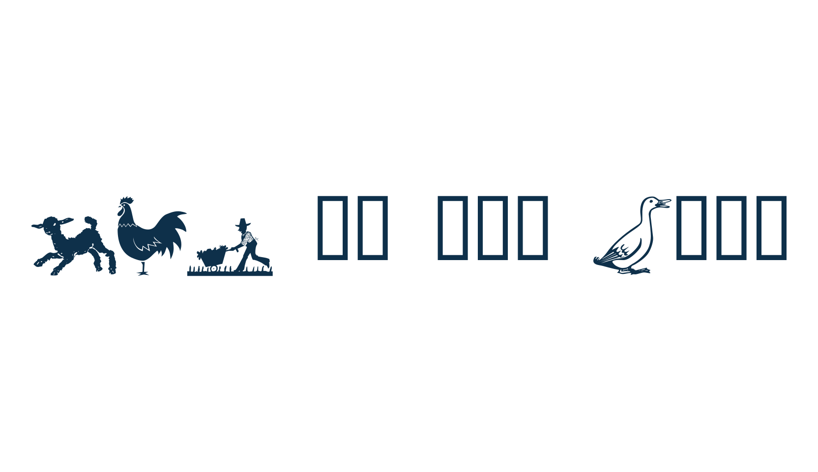 LCR on the Farm, display market font preview