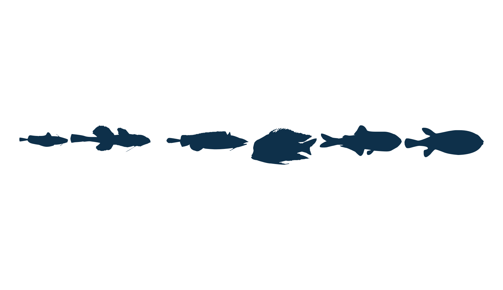 Le Fish, fancy decorative font preview