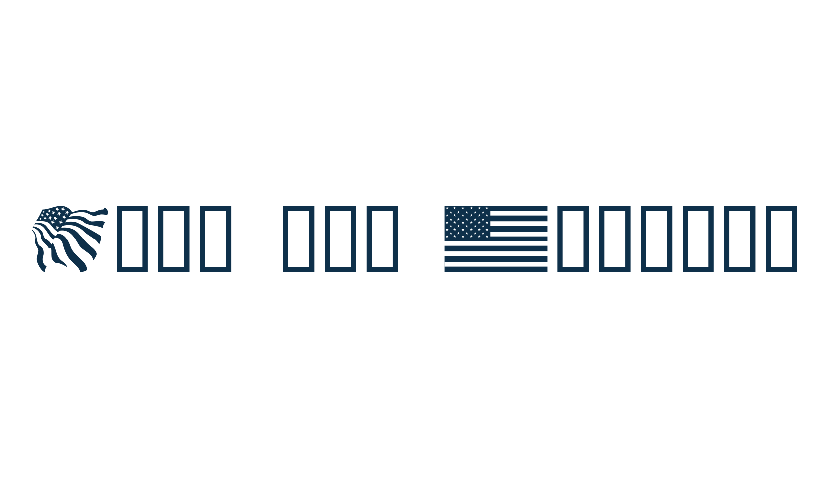 Look for America, display market font preview