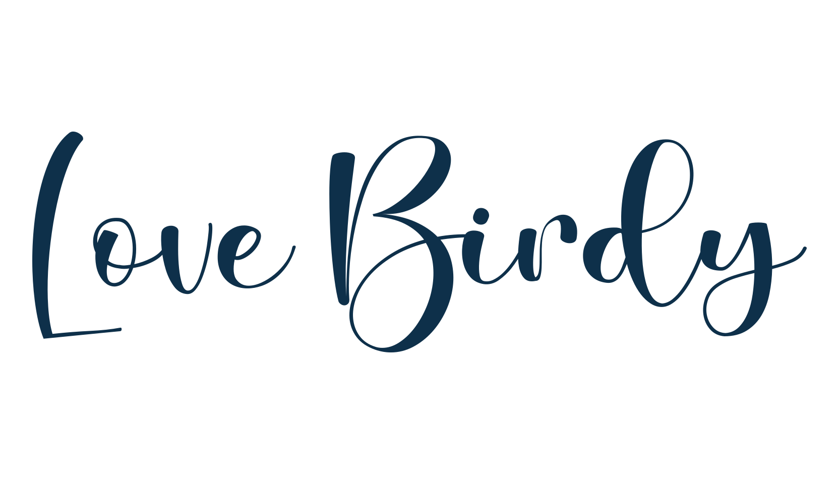 Love Birdy, script calligraphy fancy decorative font preview