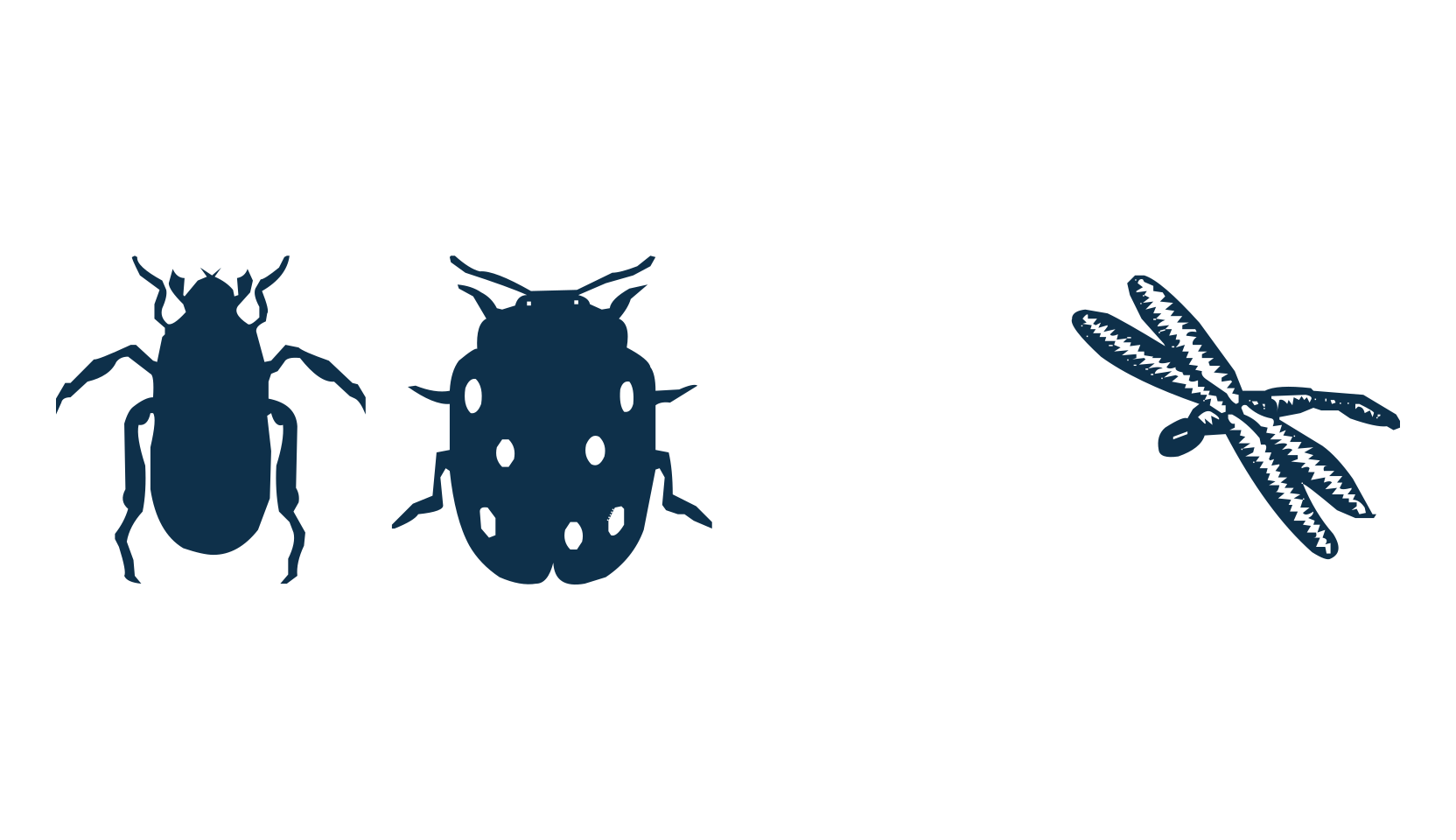 LP Insects, fancy decorative font preview