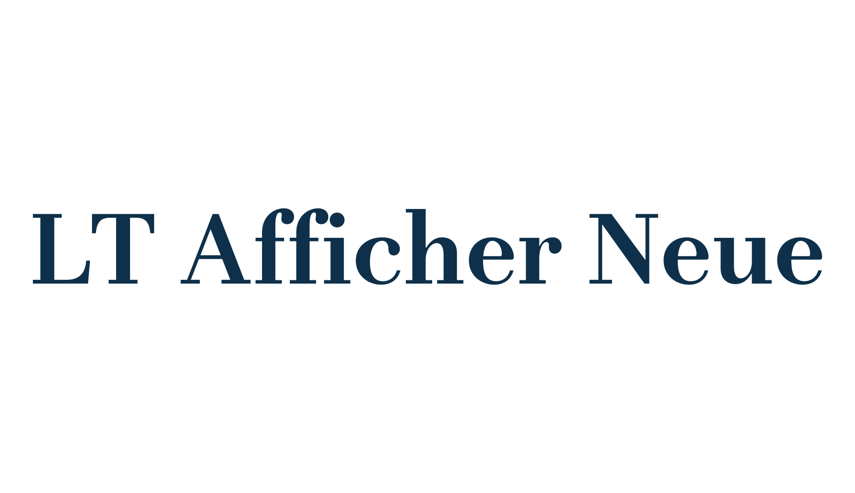 LT Afficher Neue, serif font preview