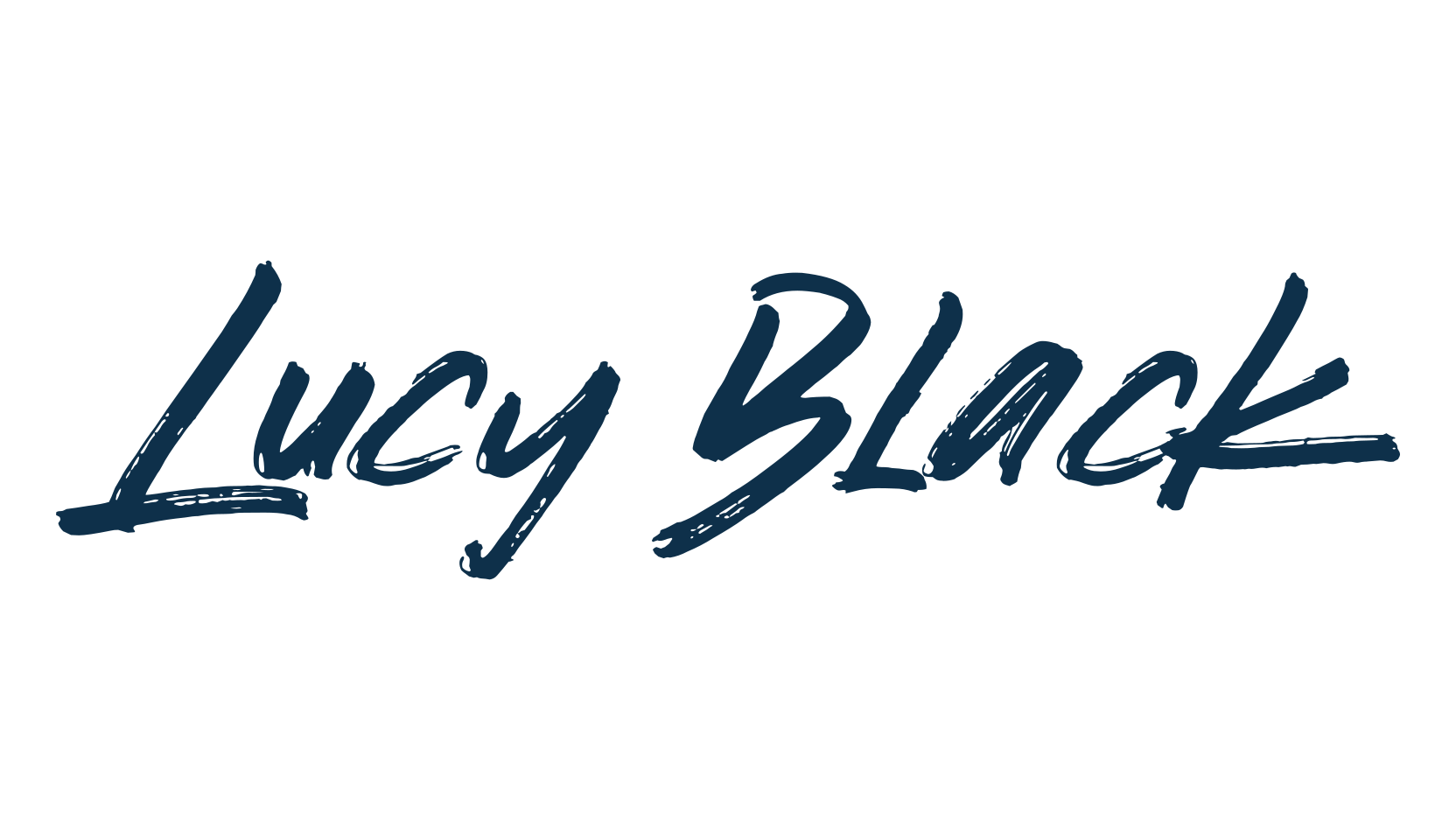 Lucy Black, script brush fancy decorative calligraphy font preview