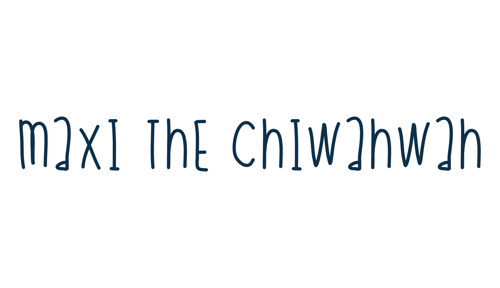 Maxi The Chiwahwah, script handwritten fancy decorative calligraphy font preview