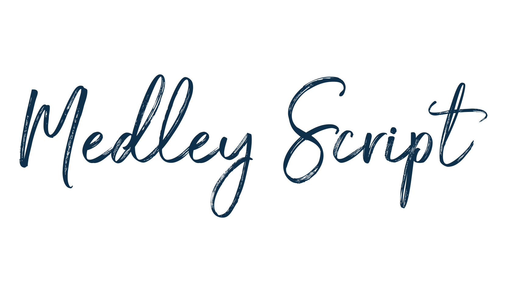Medley Script, script brush fancy decorative calligraphy font preview