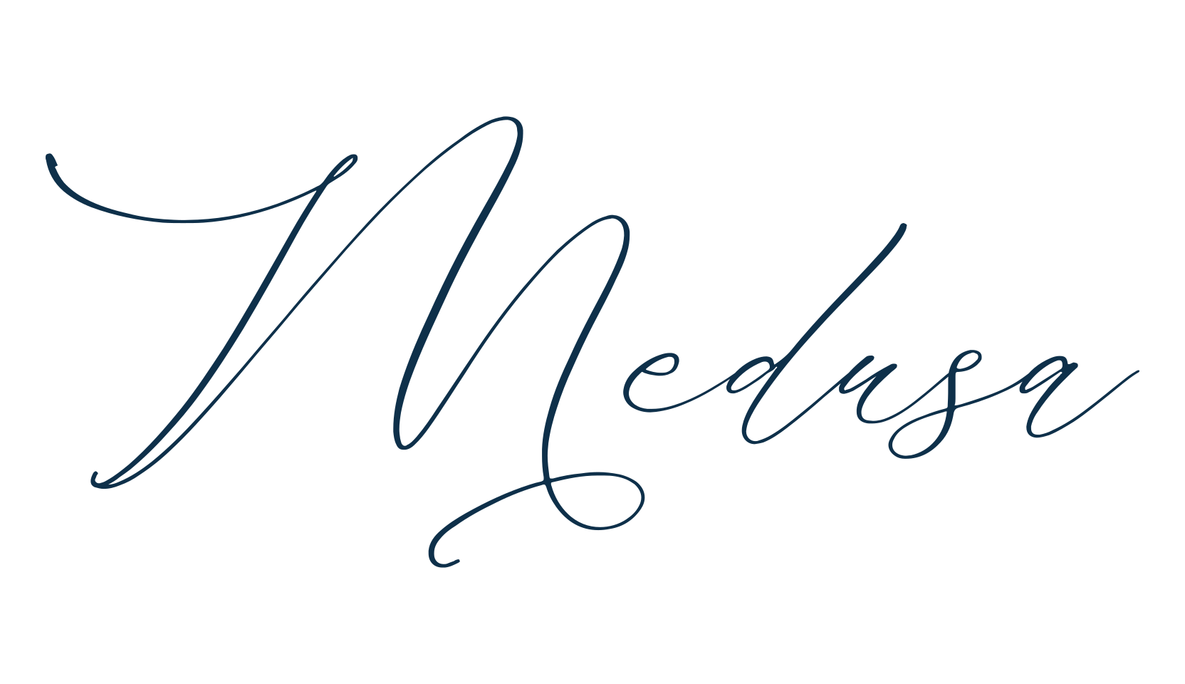 Medusa, script handwritten fancy decorative calligraphy font preview
