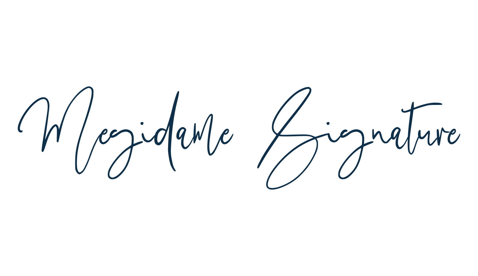 Megidame Signature, script handwritten fancy decorative calligraphy font preview