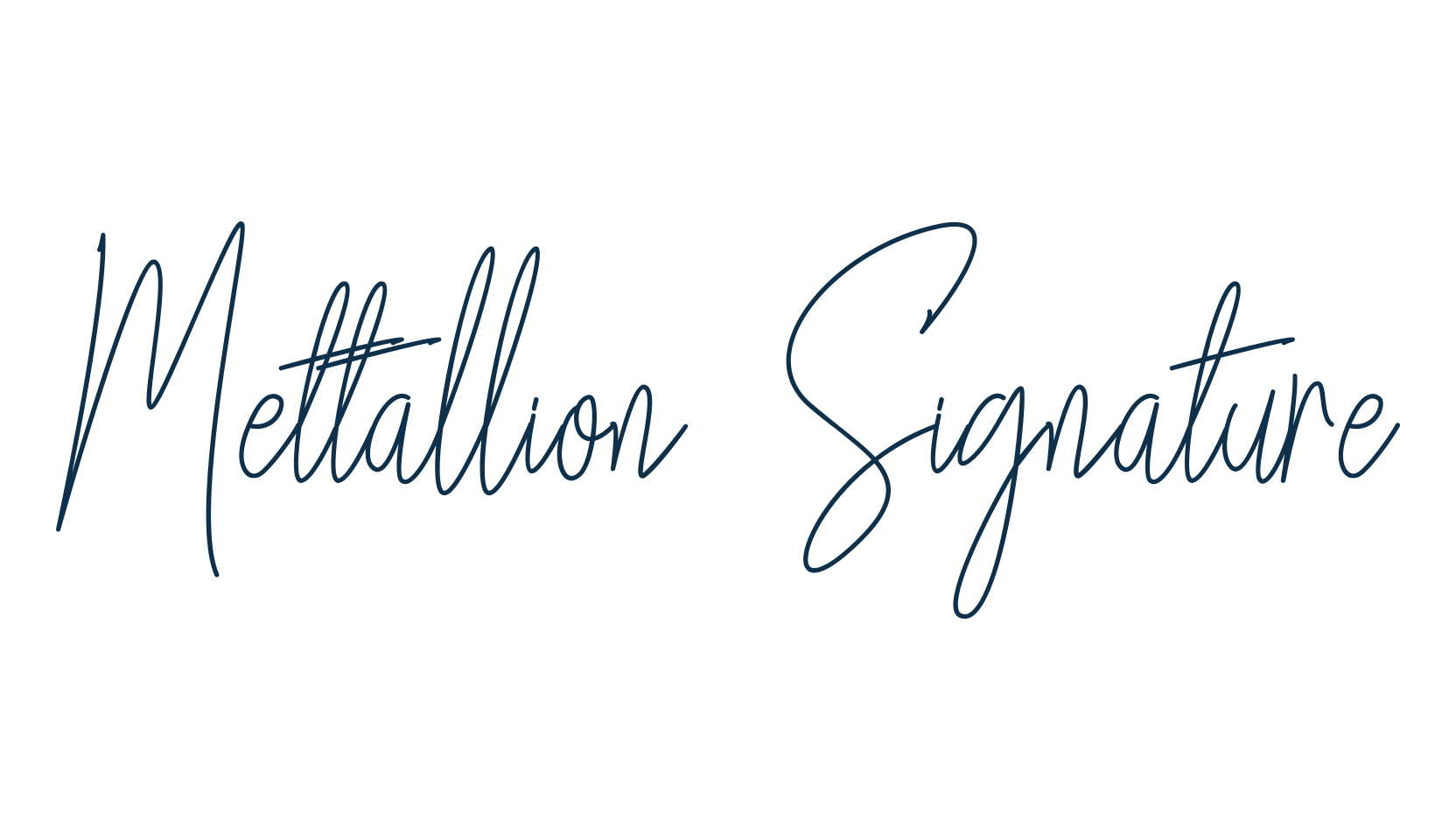 Mettallion Signature, script handwritten fancy decorative calligraphy font preview