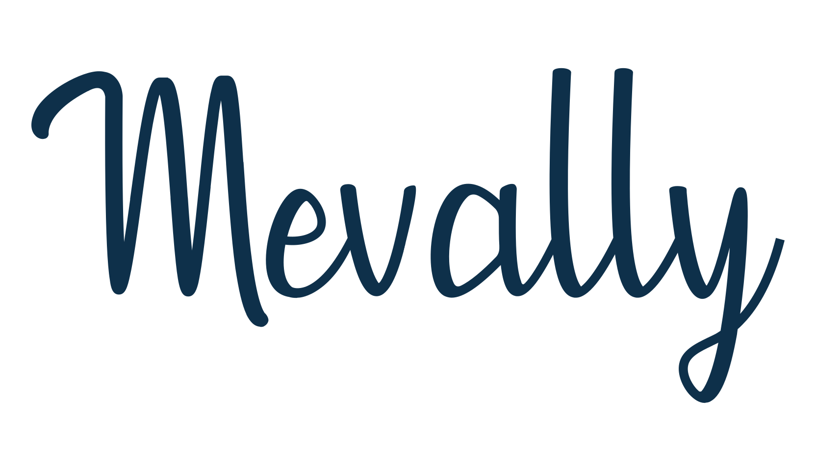 Mevally, fancy various decorative script calligraphy font preview