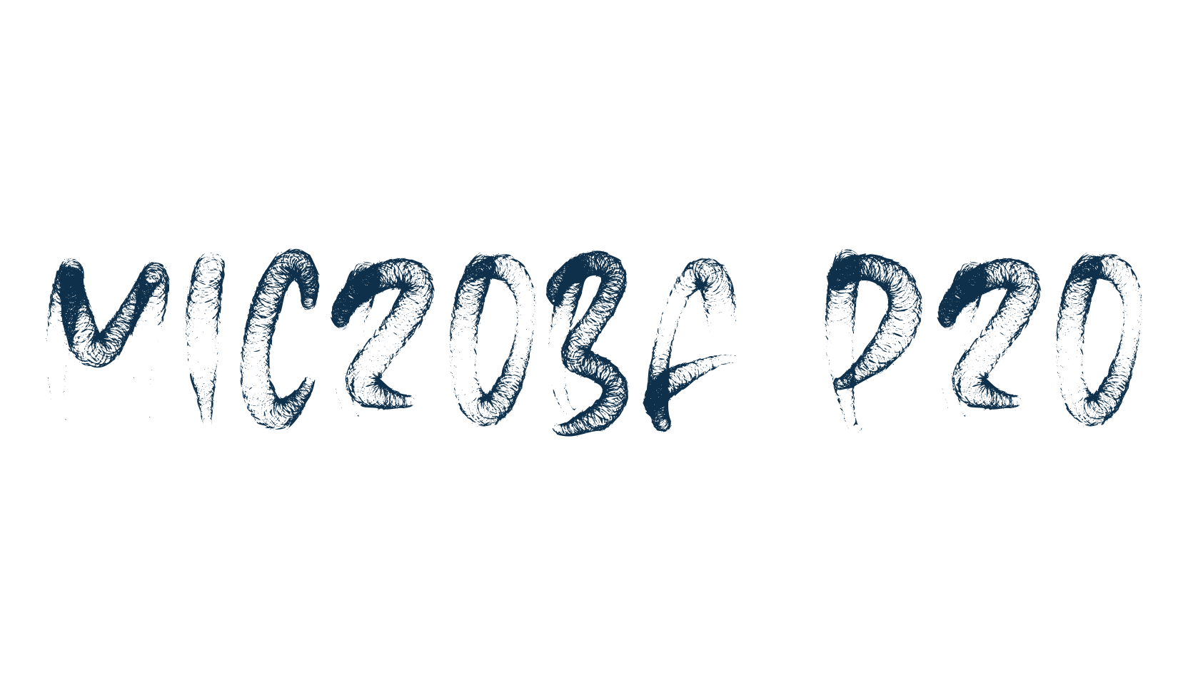 Microba Pro, display market font preview