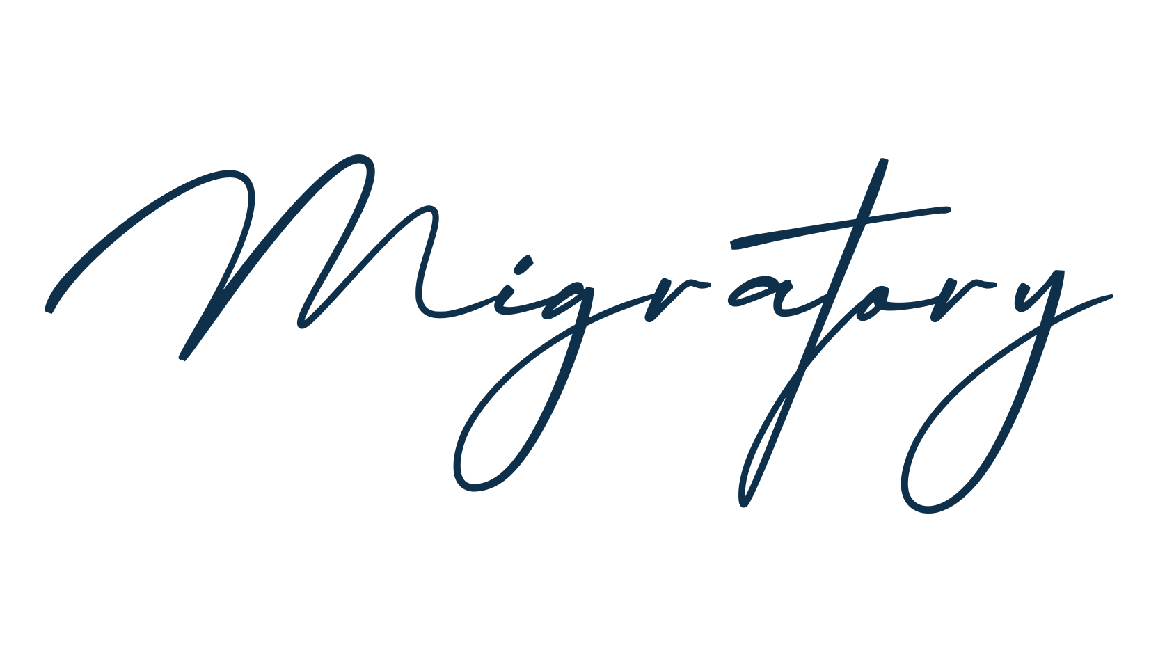 Migratory, script handwritten fancy decorative calligraphy font preview