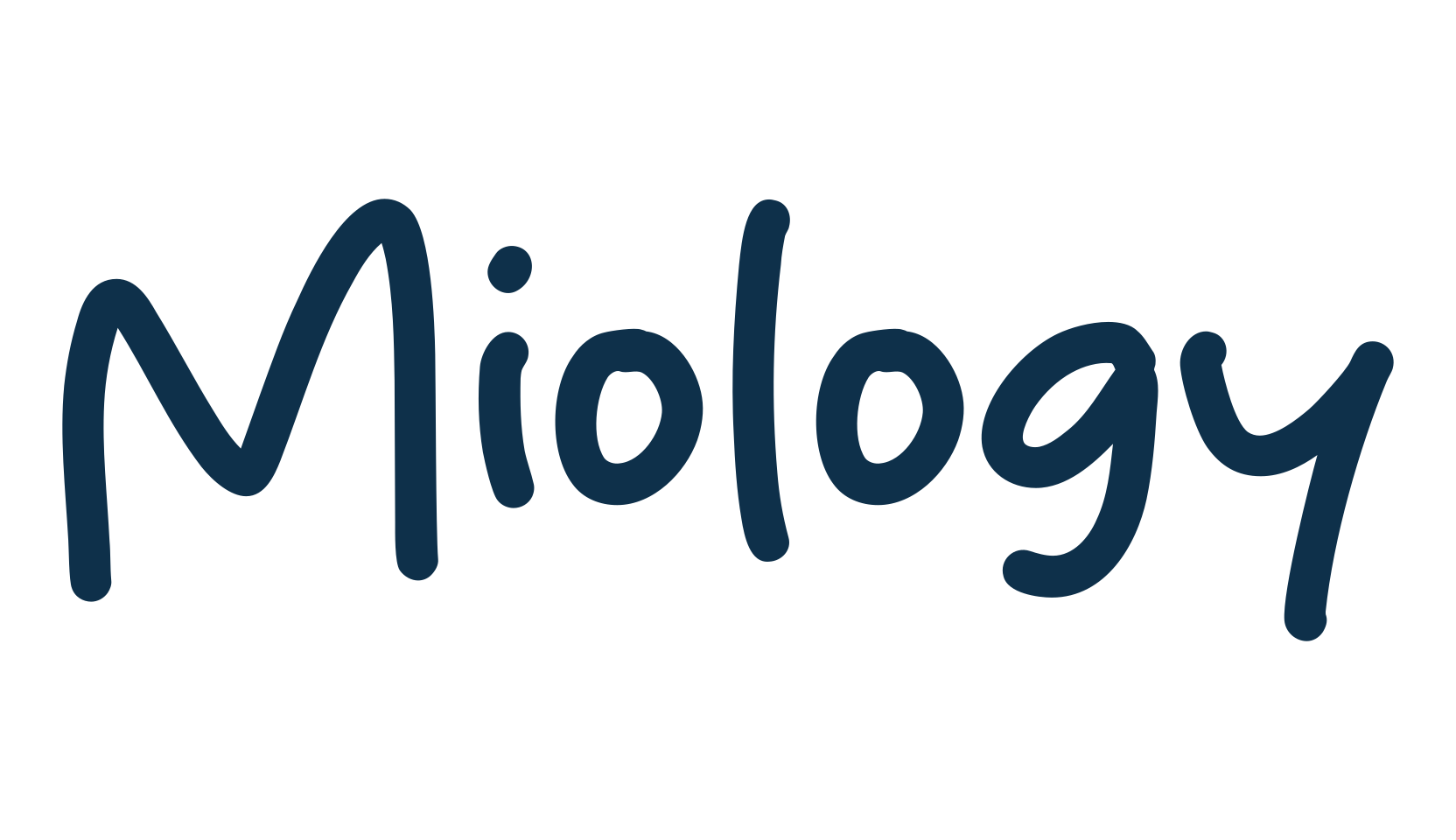 Miology, script handwritten fancy decorative calligraphy font preview