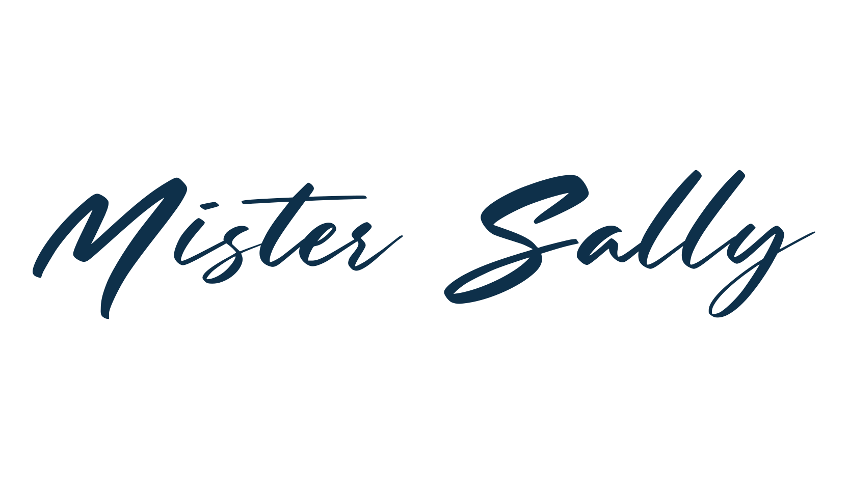 Mister Sally, script brush fancy decorative calligraphy font preview