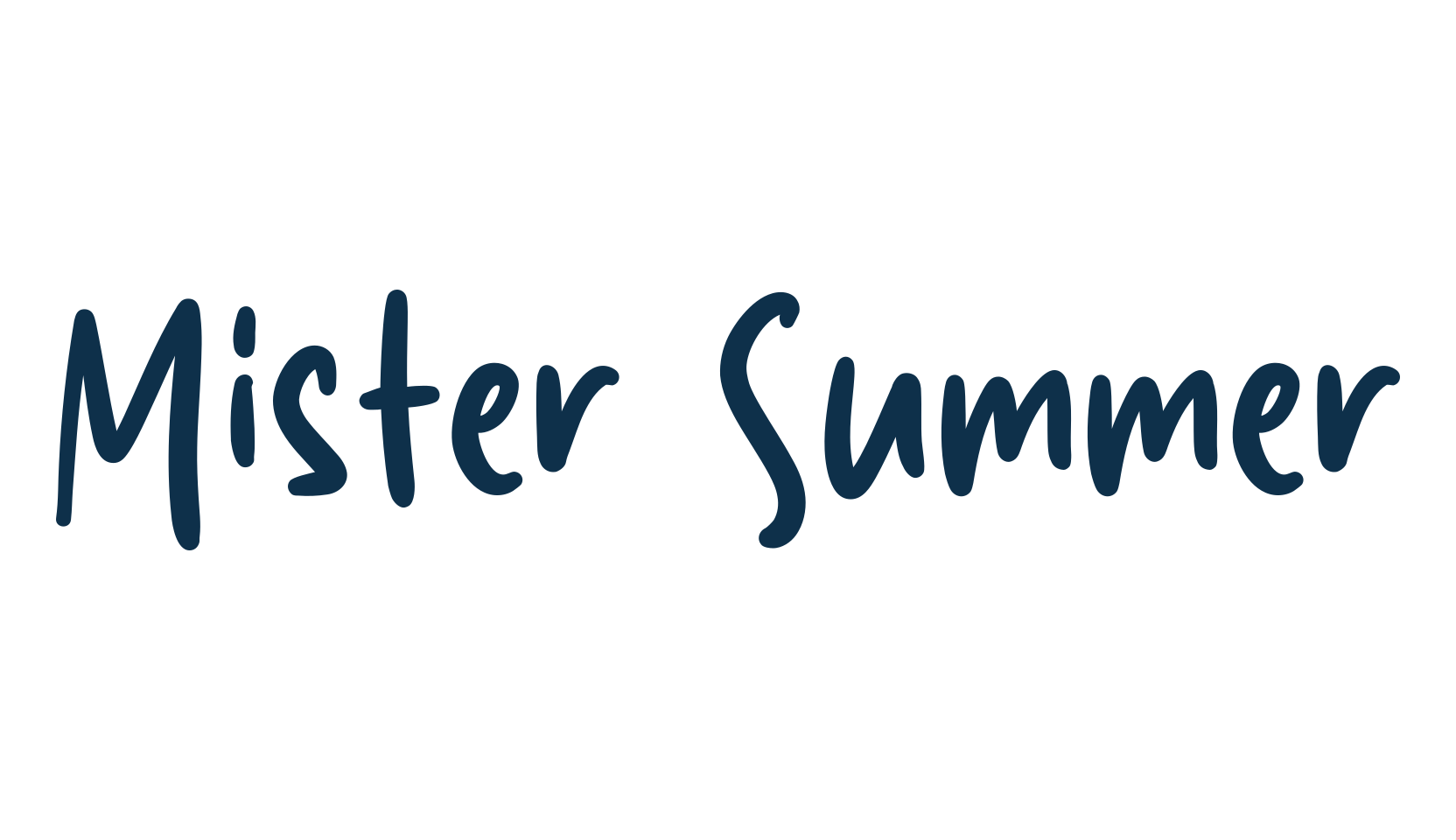Mister Summer, script handwritten fancy decorative calligraphy font preview