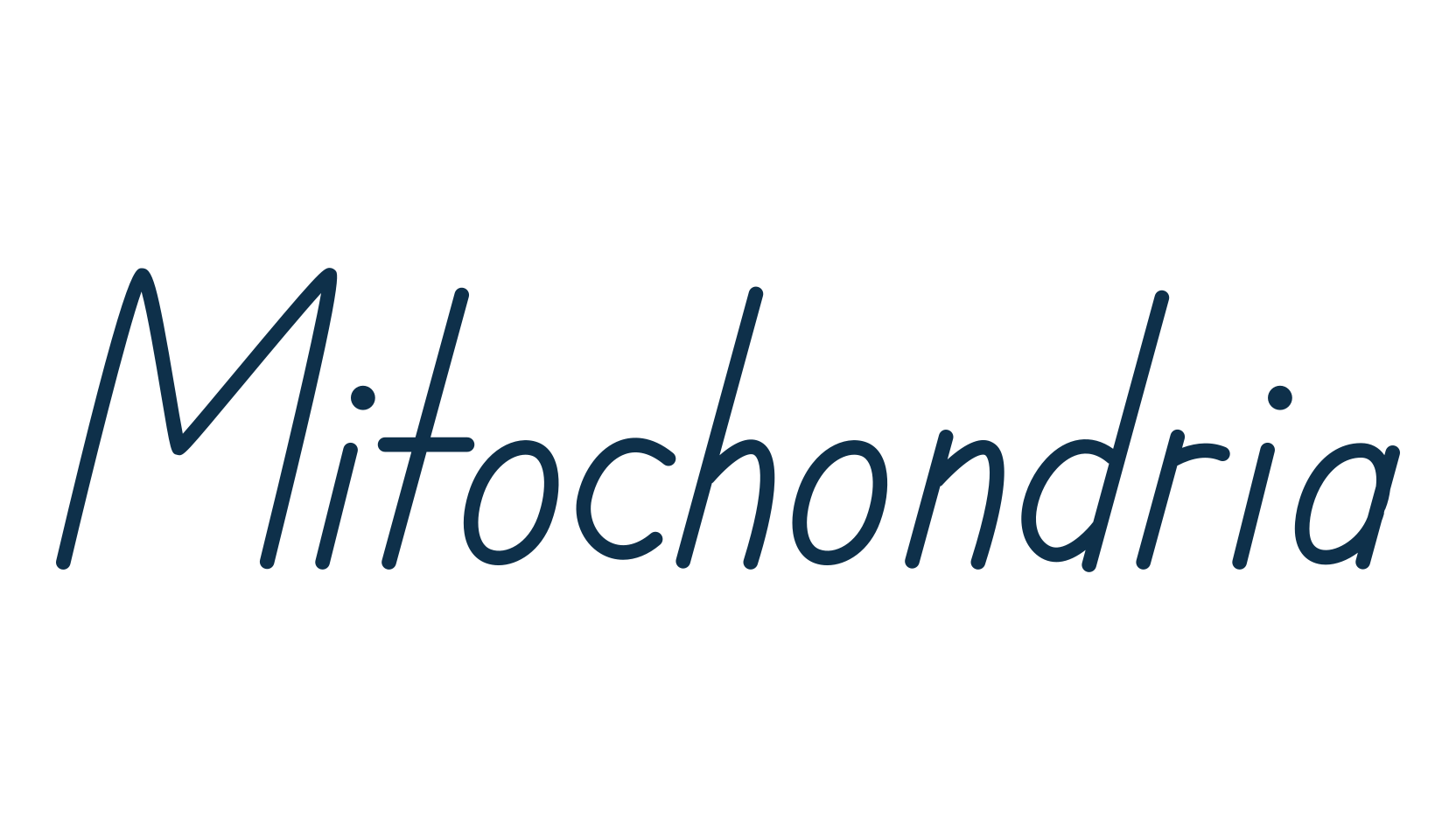 Mitochondria, fancy decorative font preview
