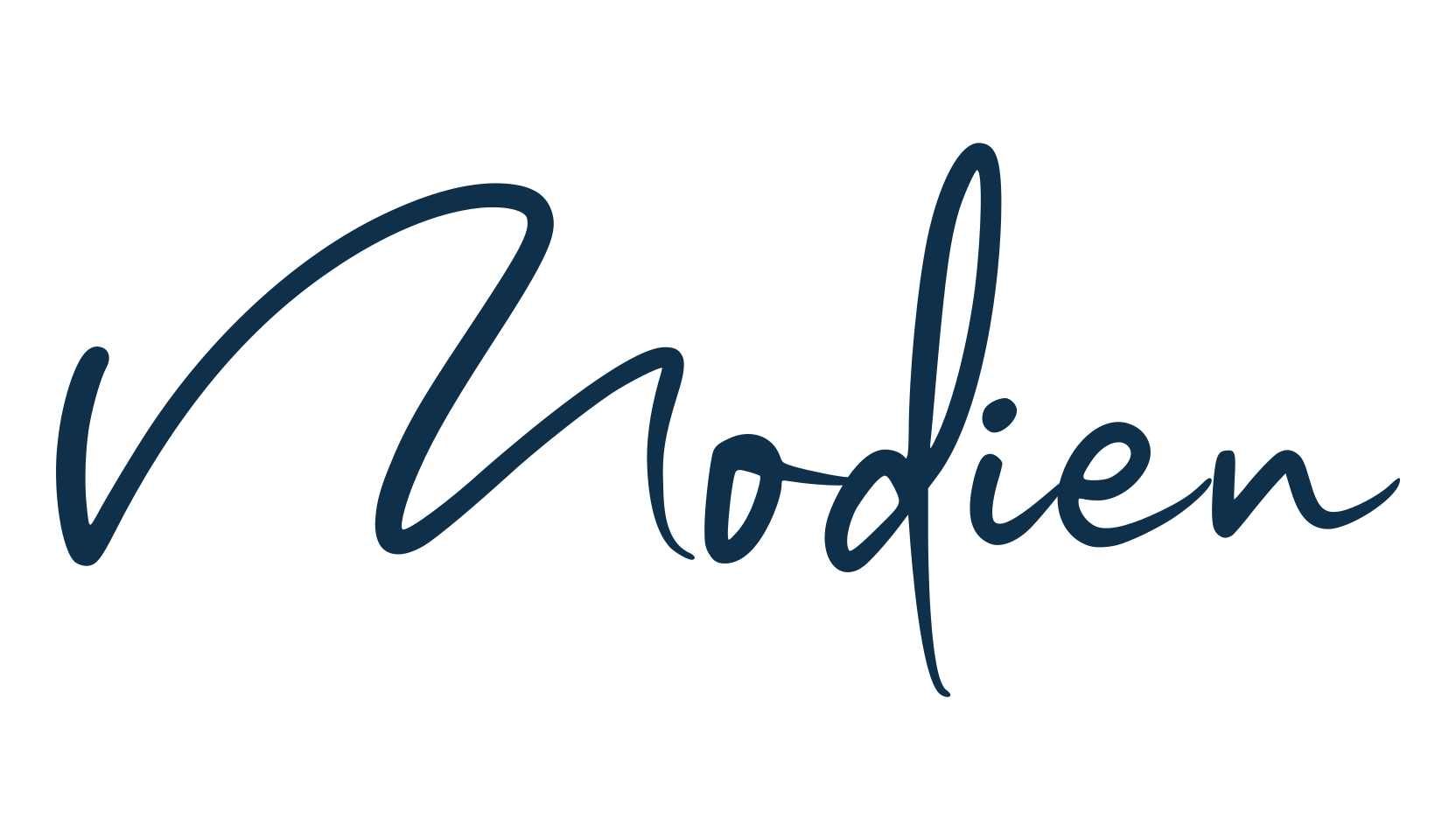 Modien, script handwritten fancy decorative calligraphy font preview
