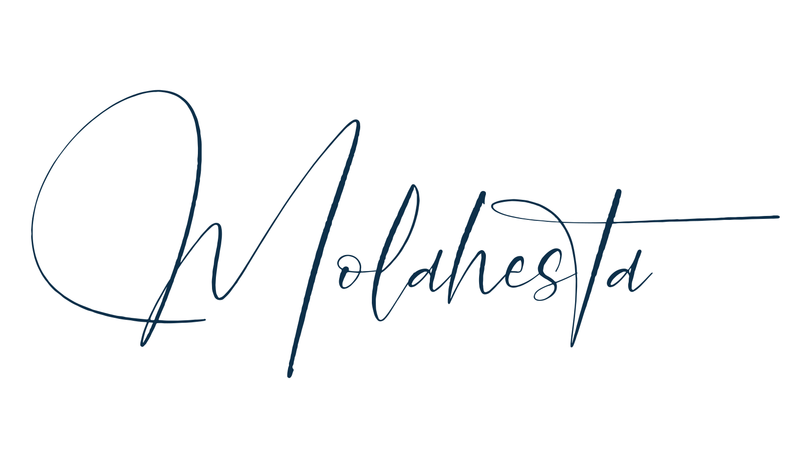 Molahesta, script handwritten fancy decorative calligraphy font preview