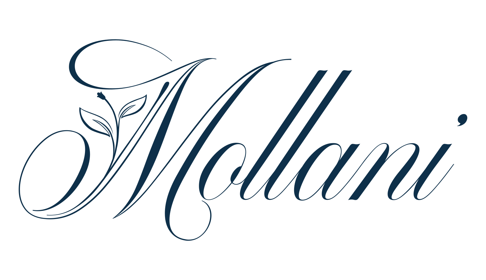 Mollani, calligraphy font preview