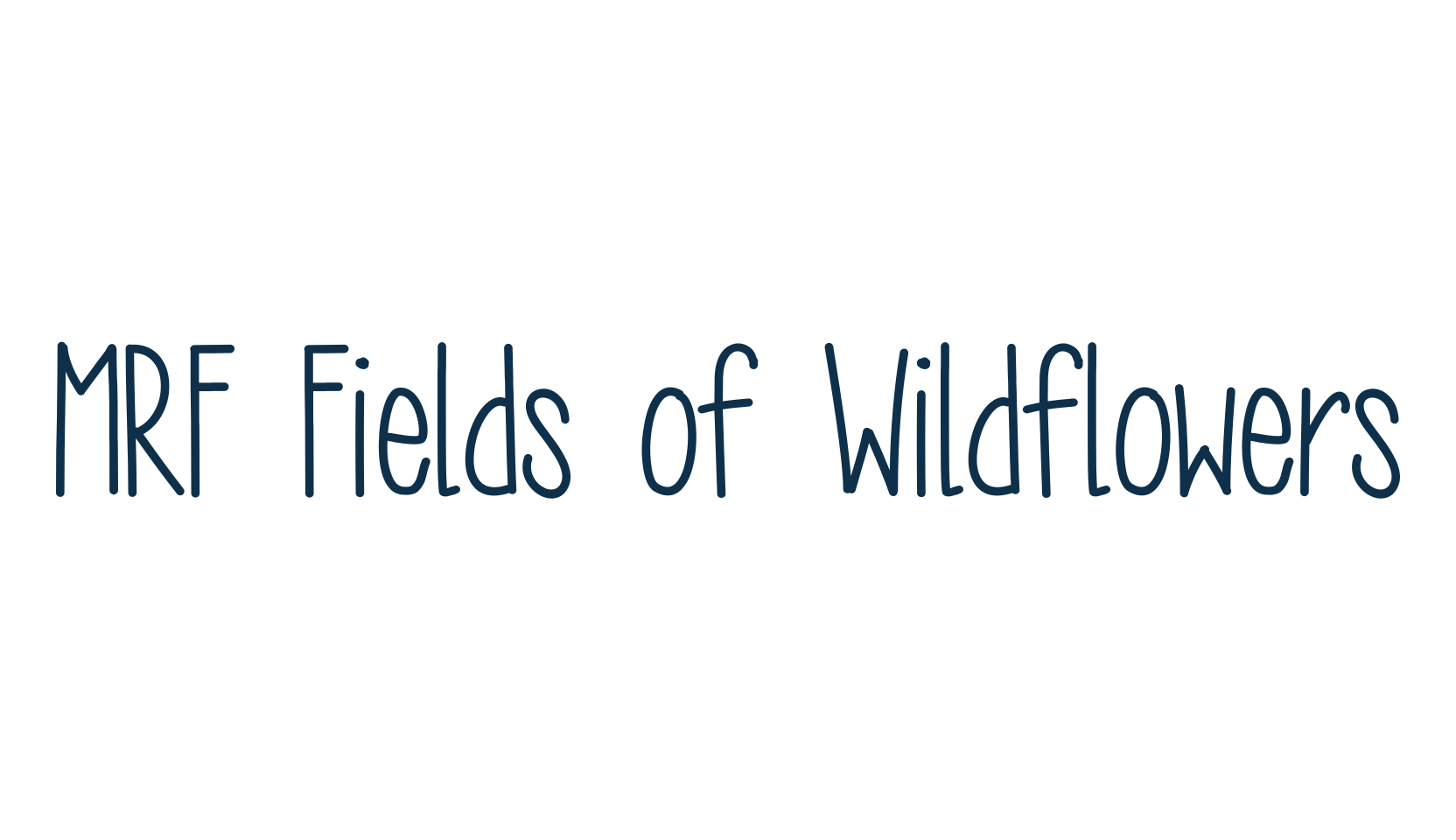 MRF Fields of Wildflowers, script handwritten fancy decorative calligraphy font preview