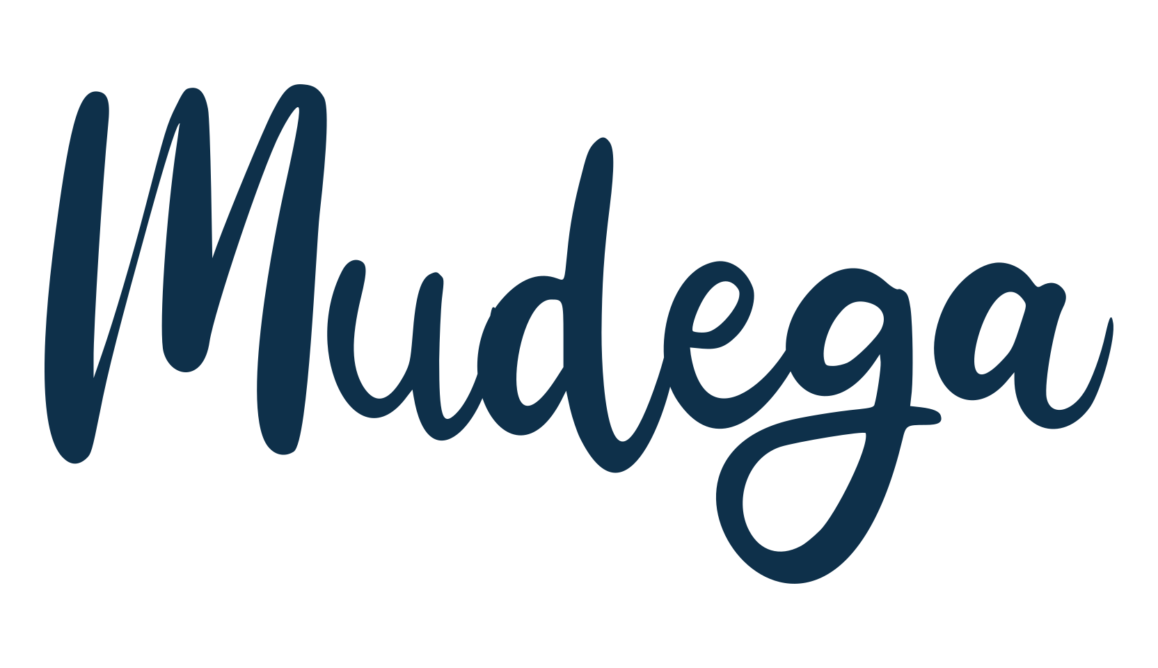 Mudega, script handwritten fancy decorative calligraphy font preview