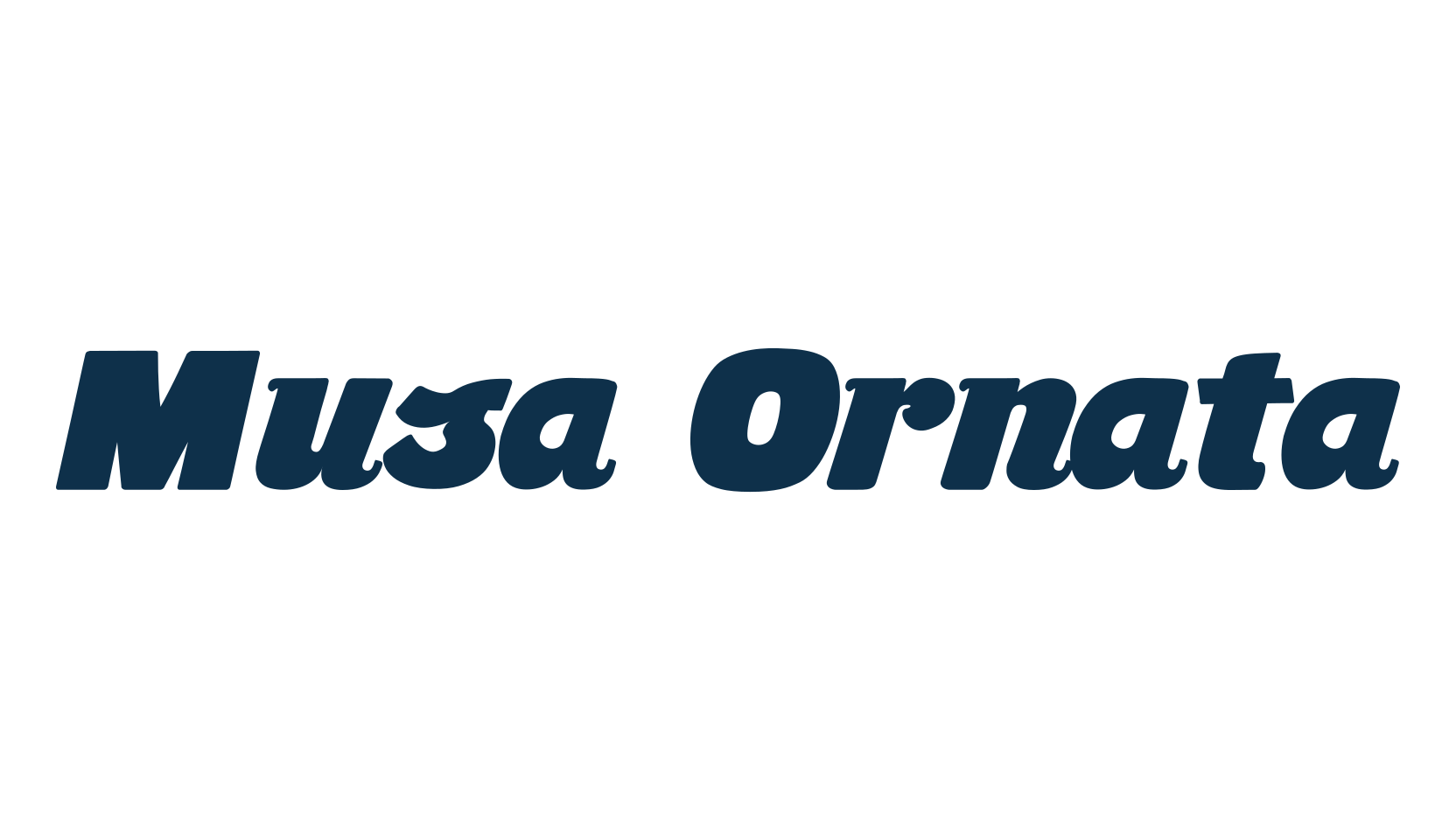 Musa Ornata, fancy various decorative font preview
