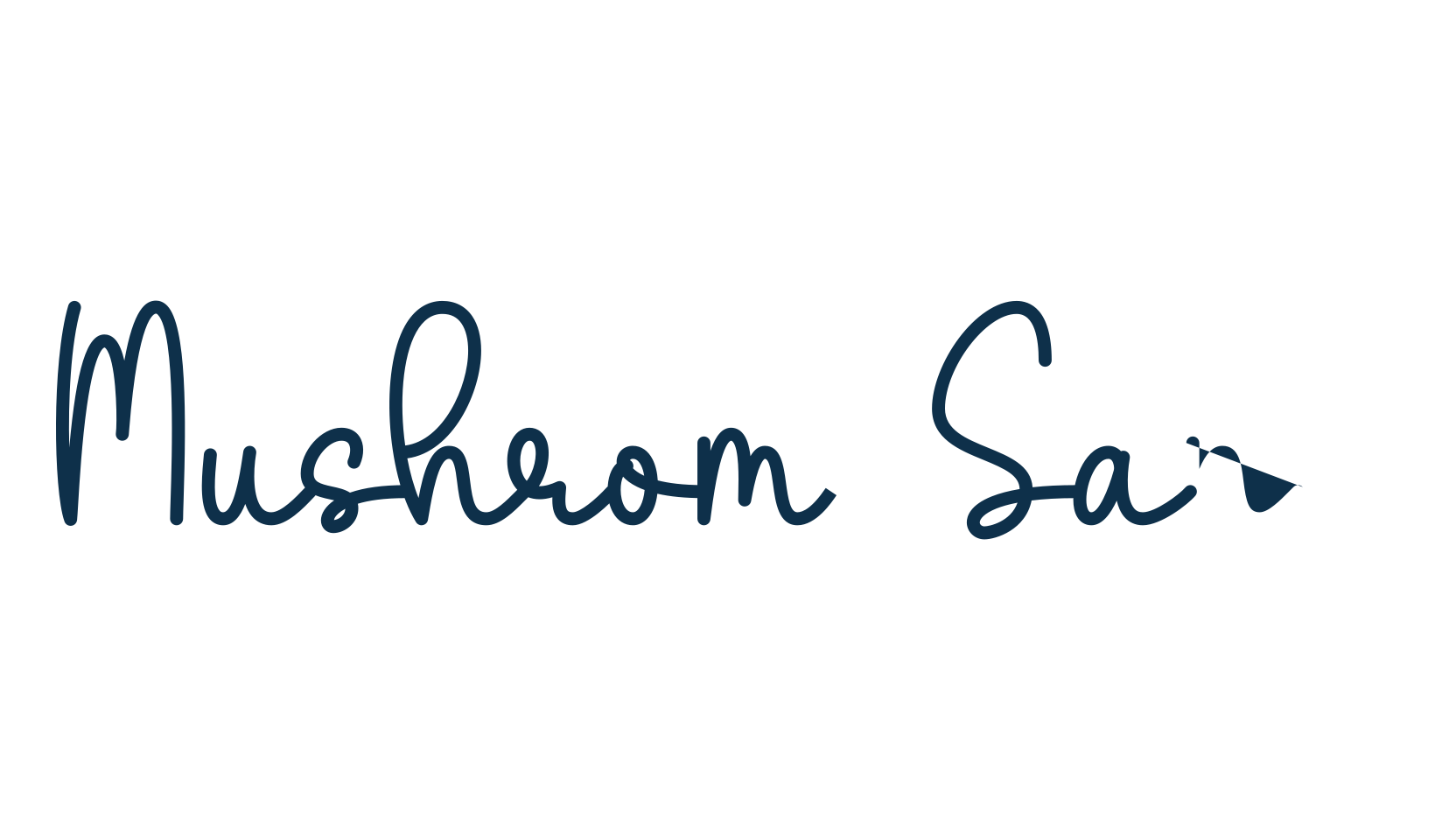 Mushrom Sans, script handwritten fancy decorative calligraphy font preview