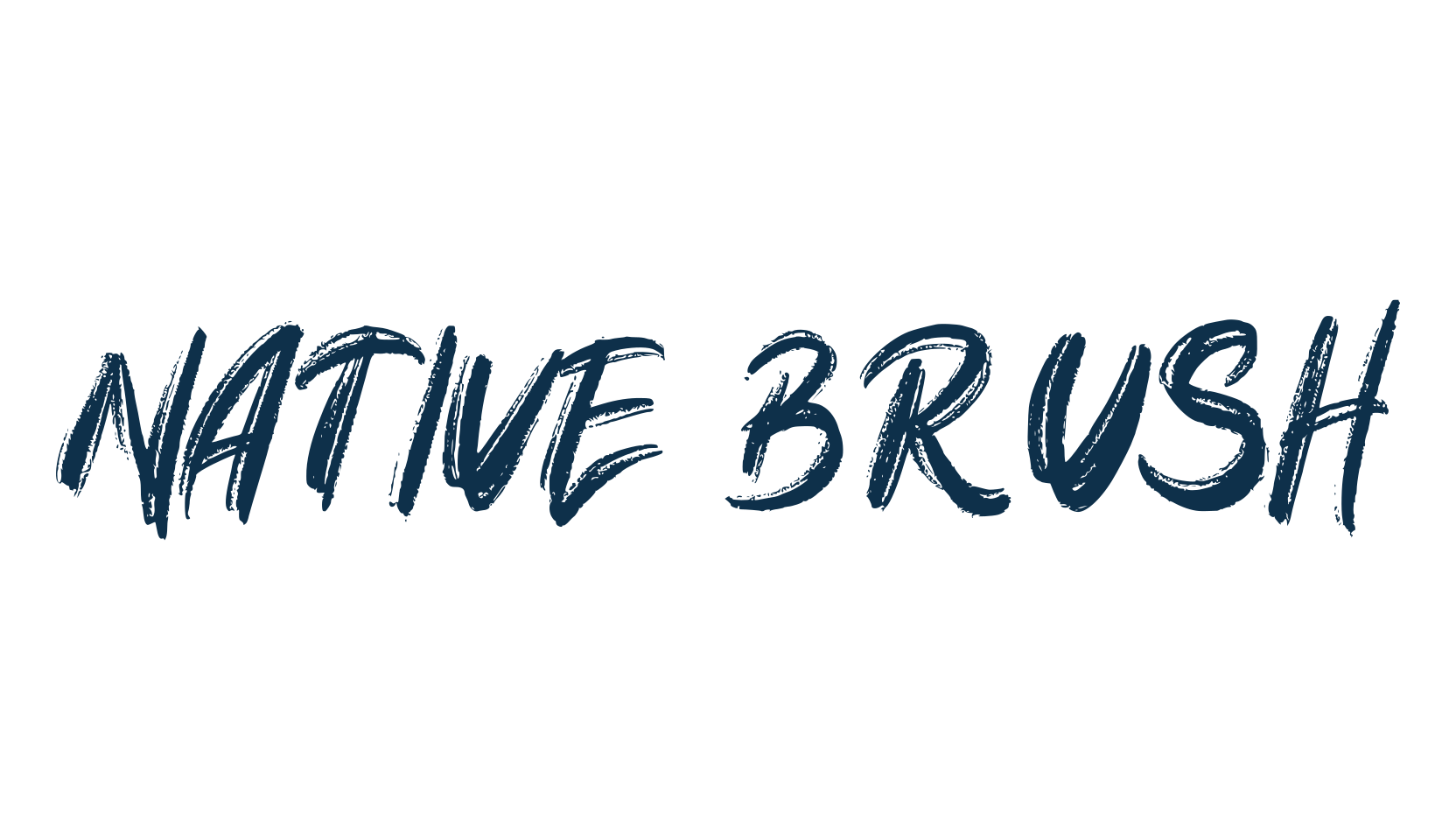 Native Brush, script brush fancy decorative calligraphy font preview