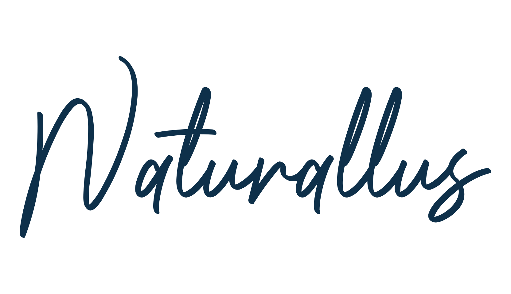 Naturallus, script handwritten fancy decorative calligraphy font preview