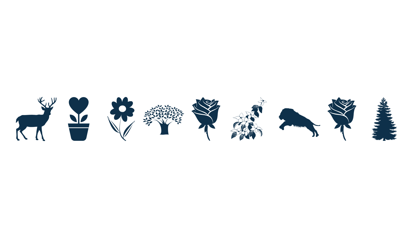 Nature Pro, display market font preview