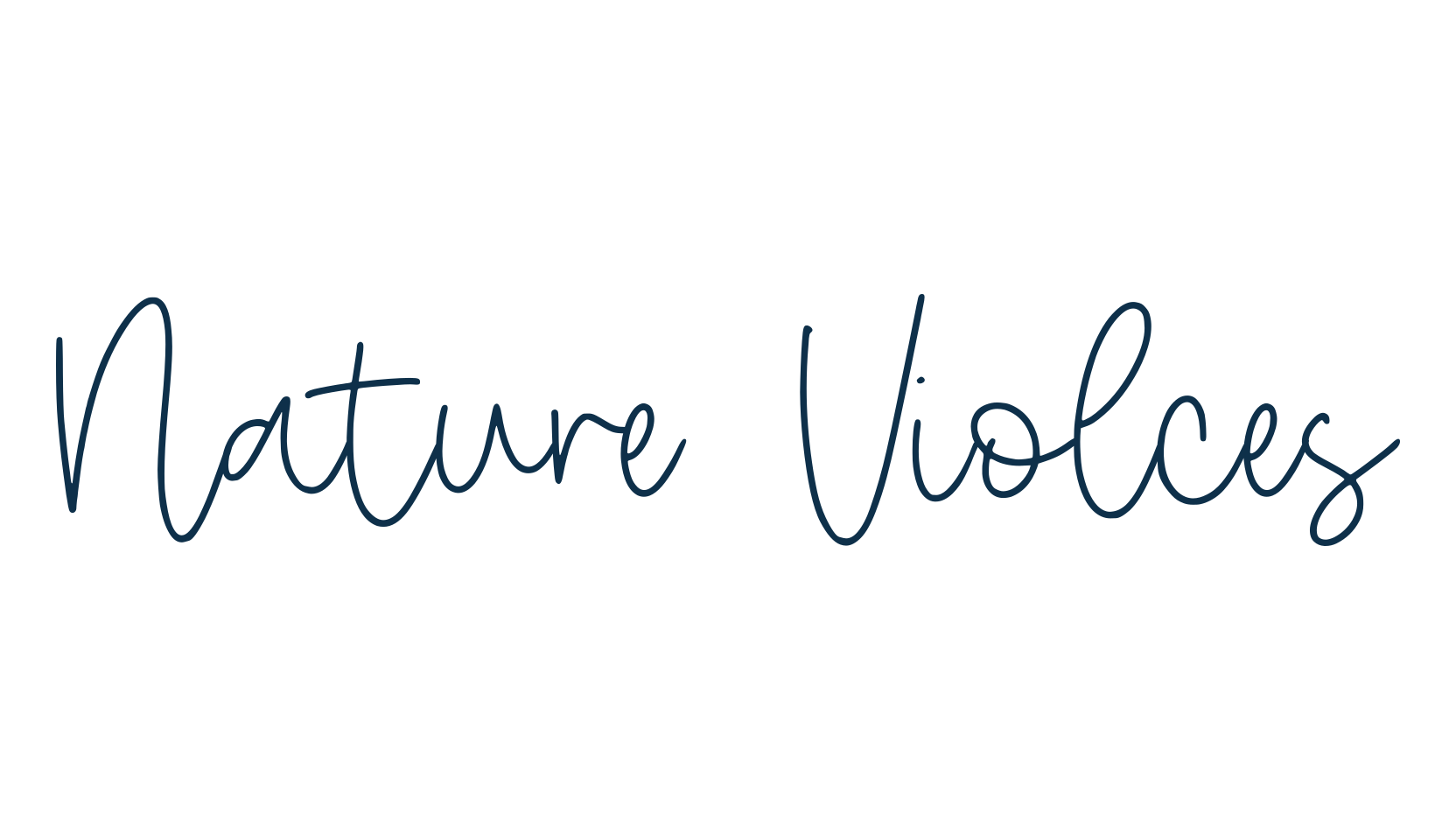 Nature Violces, script handwritten fancy decorative calligraphy font preview