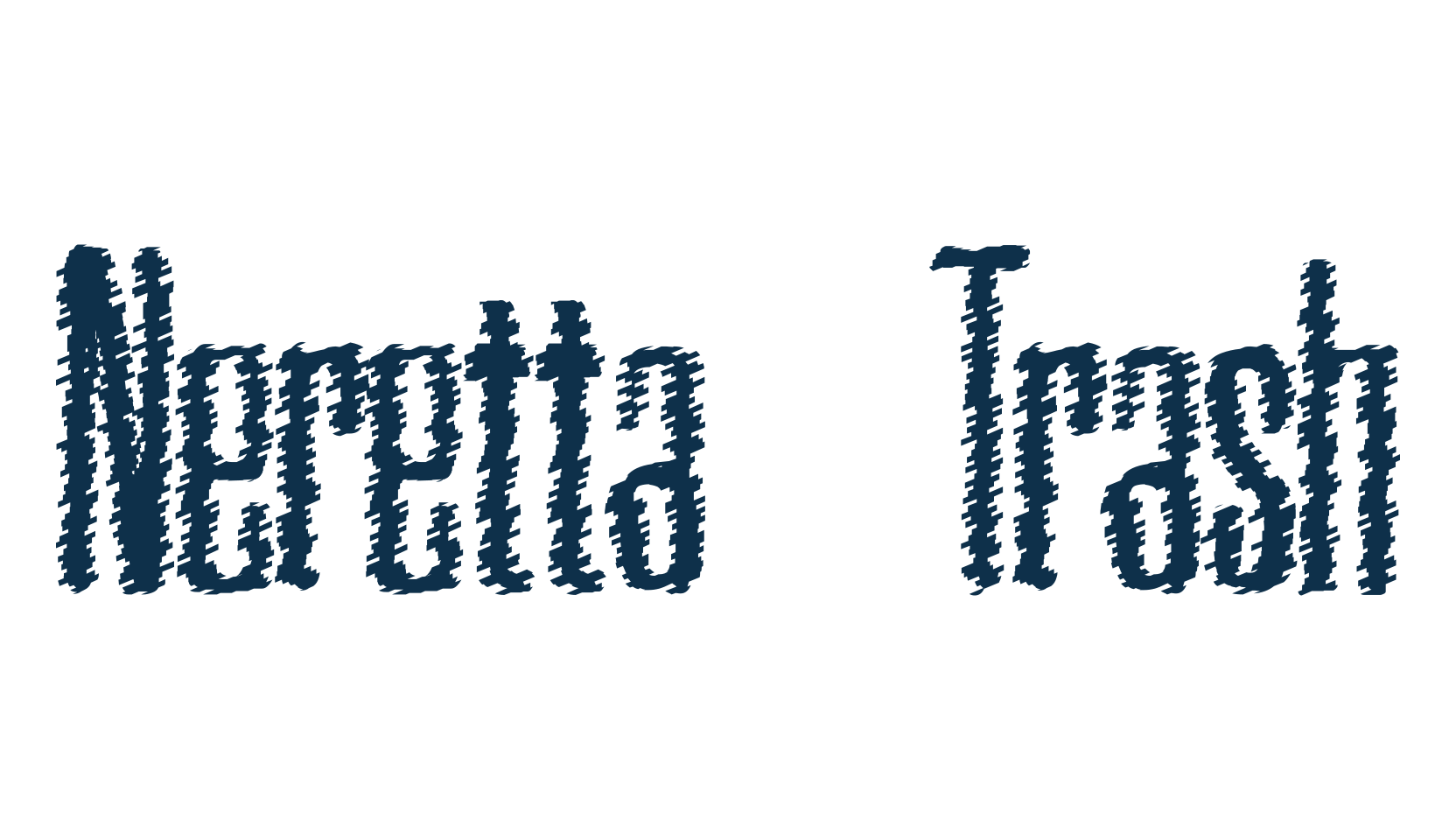 Neretta Trash, fancy destroy decorative font preview