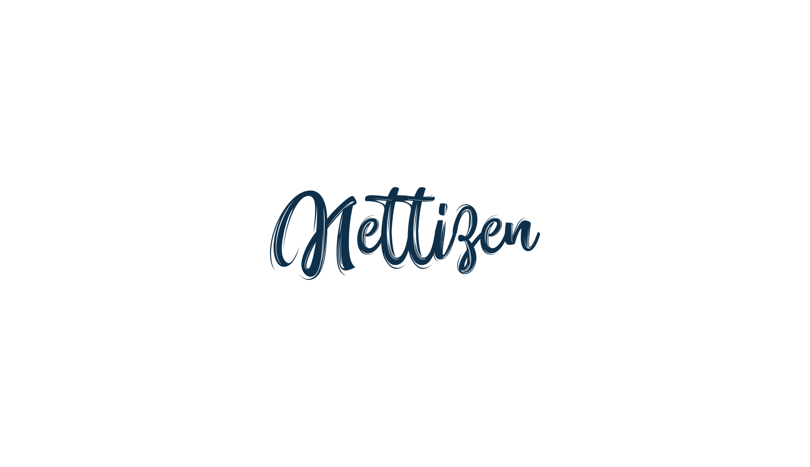 Nettizen, script brush fancy decorative calligraphy font preview
