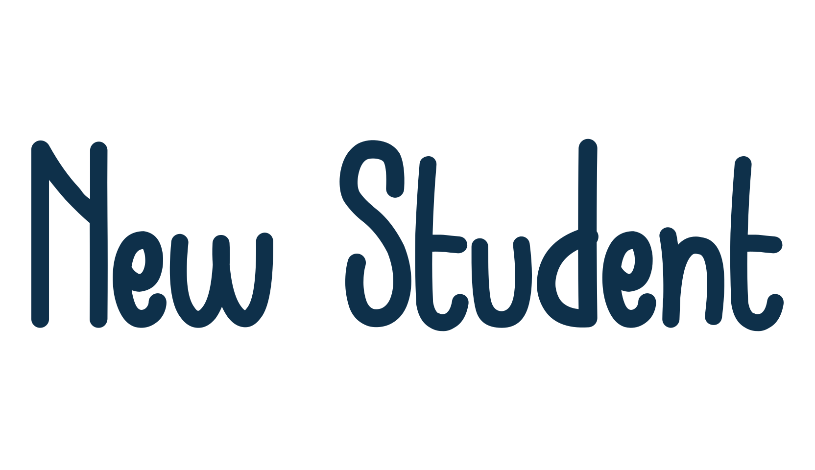 New Student, script handwritten fancy decorative calligraphy font preview