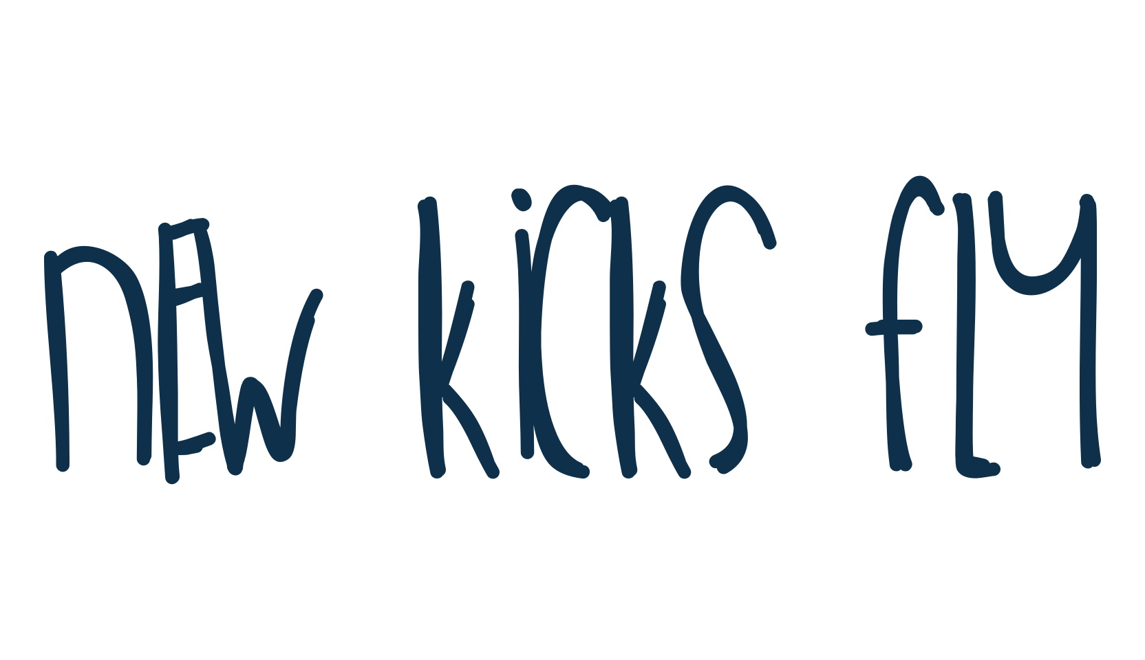 New Kicks Fly, script handwritten fancy decorative calligraphy font preview
