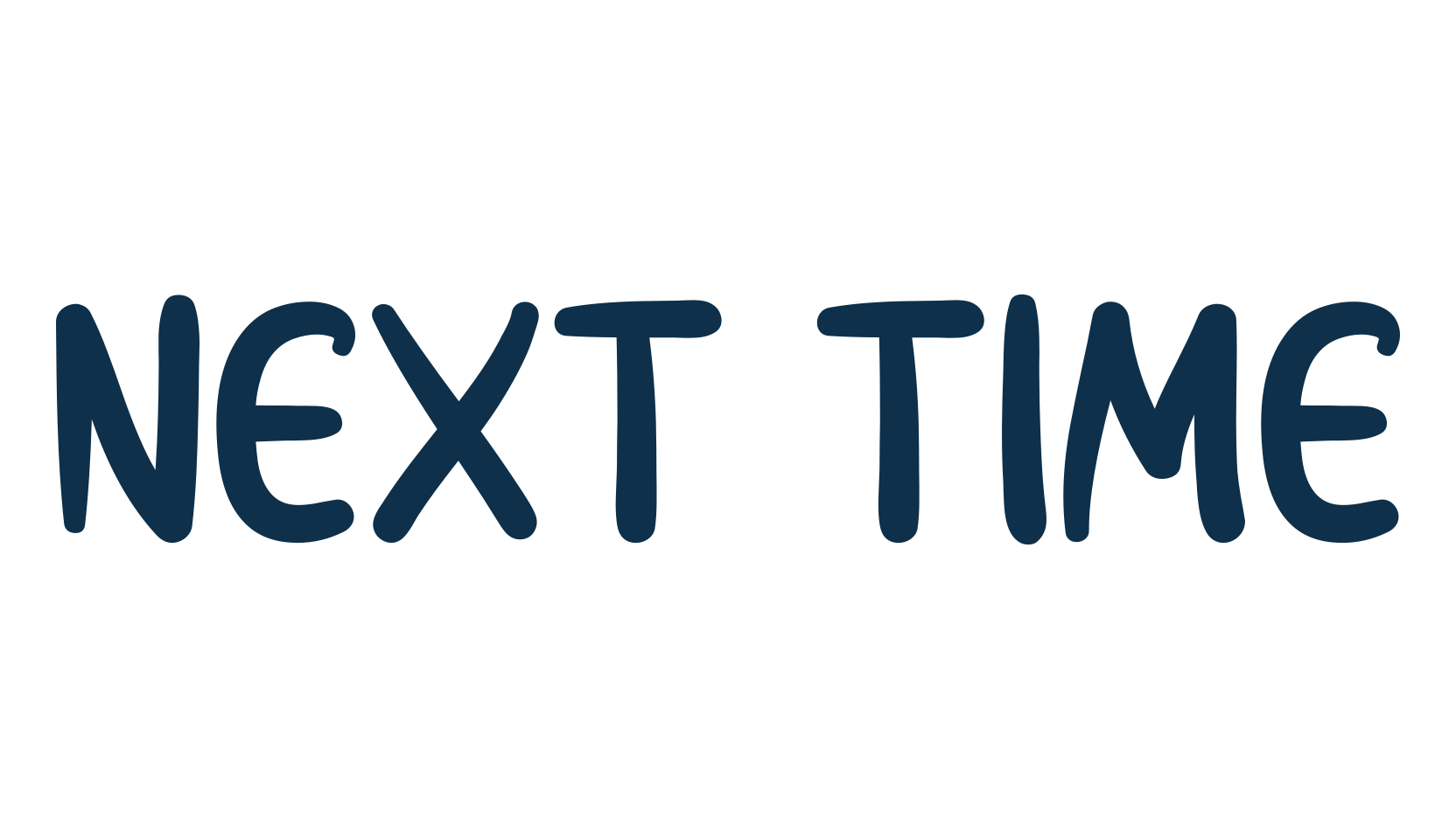 Next Time, script handwritten fancy decorative calligraphy font preview