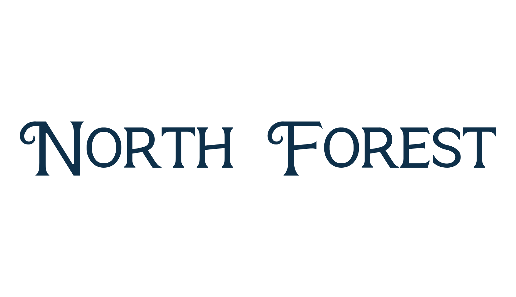 North Forest, fancy retro decorative font preview