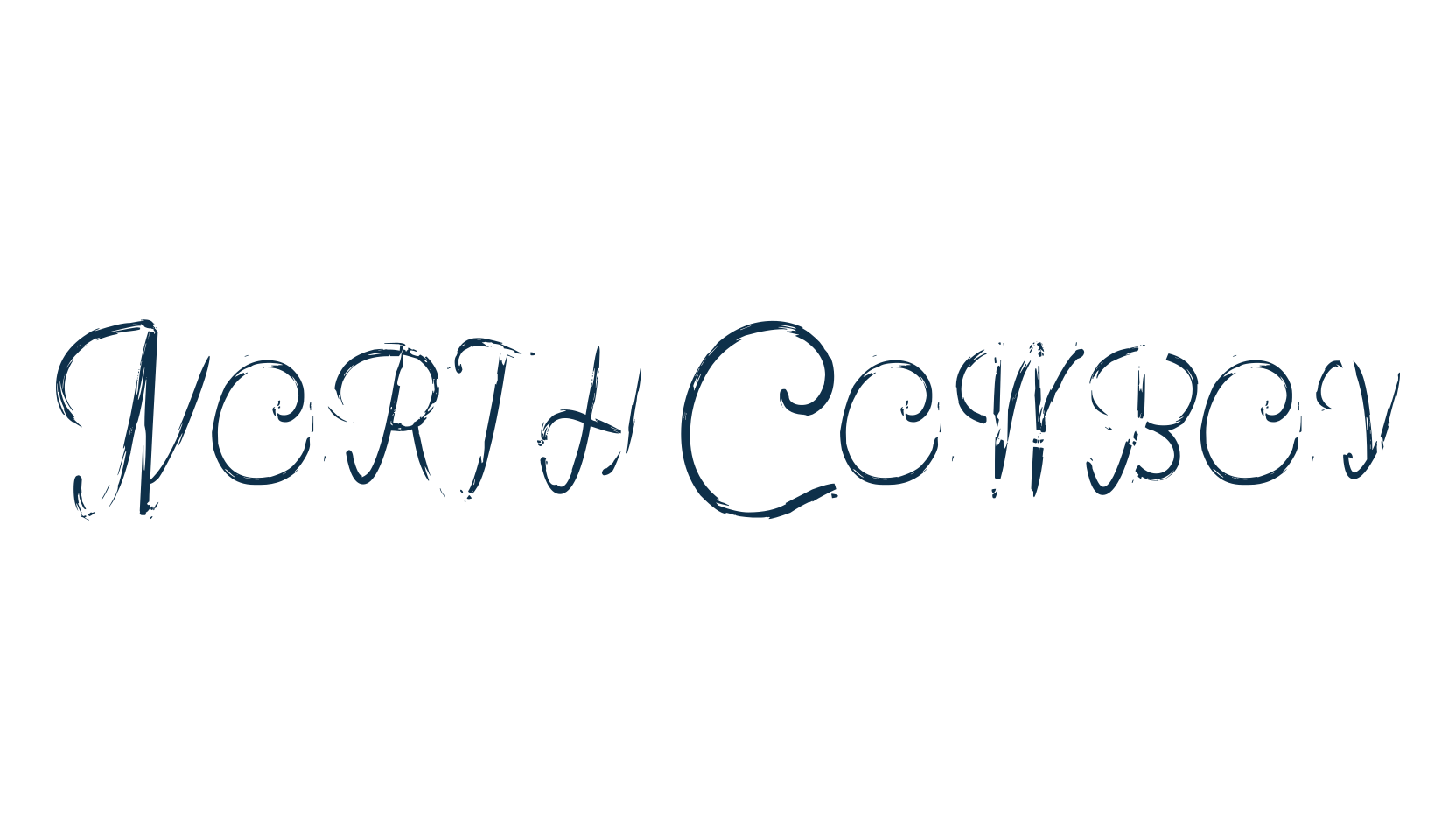 North Cowboy, script handwritten fancy decorative calligraphy font preview