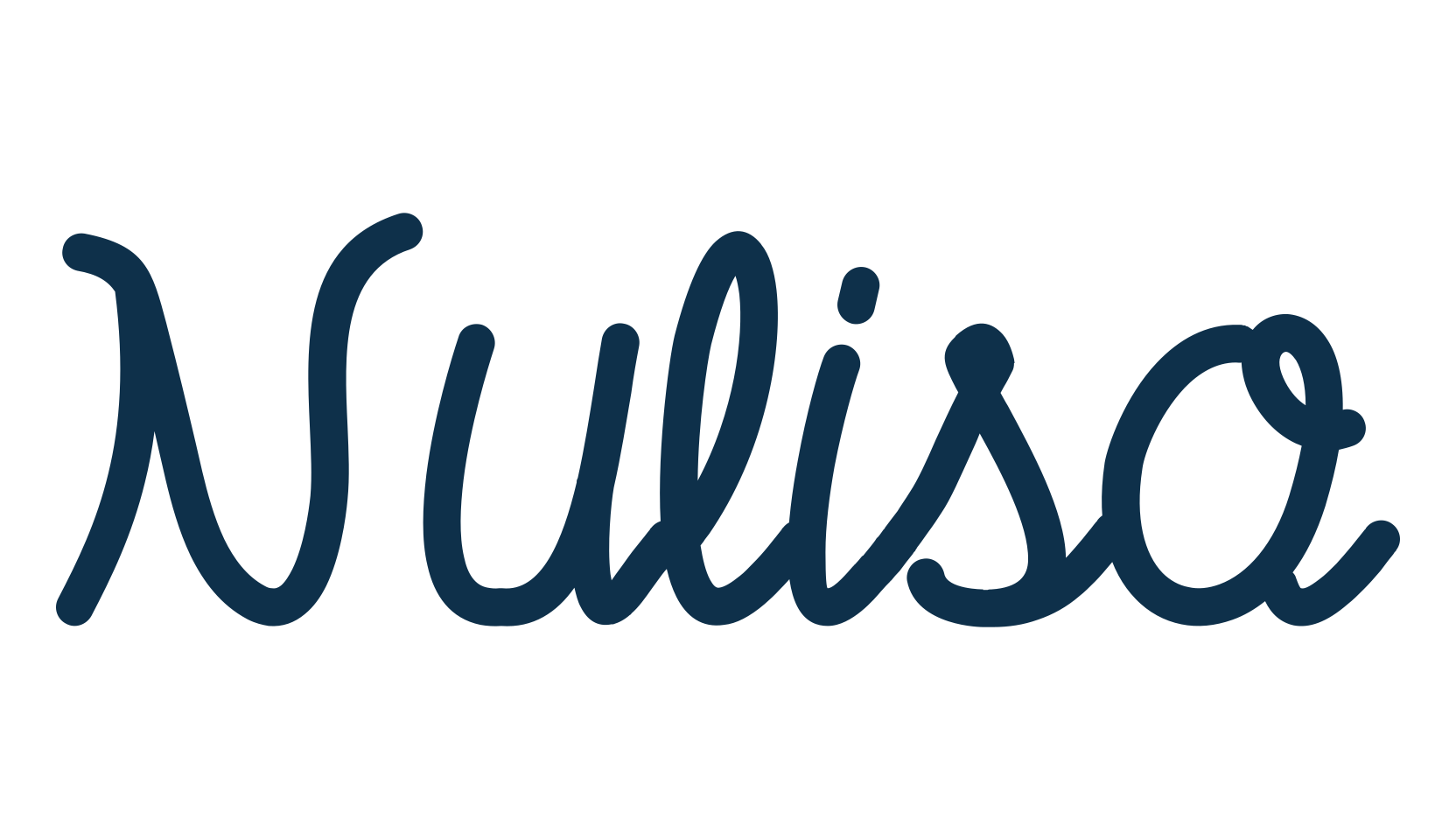 Nuliso, script handwritten fancy decorative calligraphy font preview